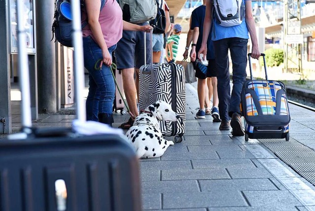 Wer mit einem groen Hund im Zug verre...ht auch fr den Vierbeiner ein Ticket.  | Foto: Rita Eggstein