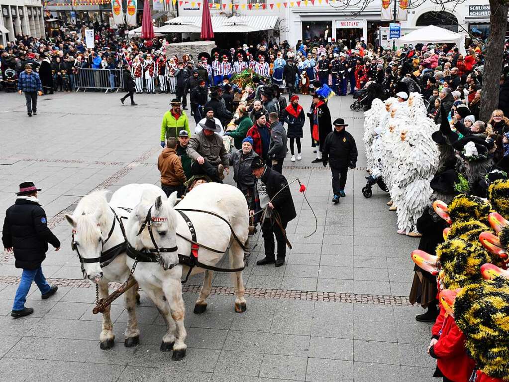 Impressionen vom Narrenbaumstellen in Lrrach