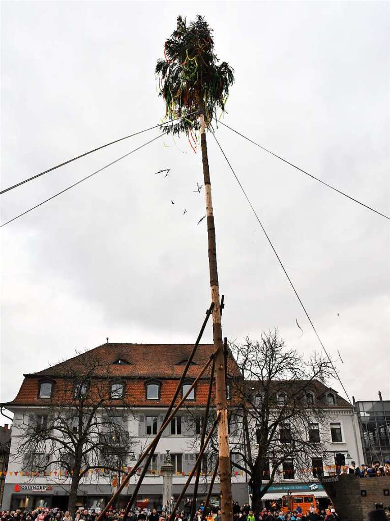 Impressionen vom Narrenbaumstellen in Lrrach