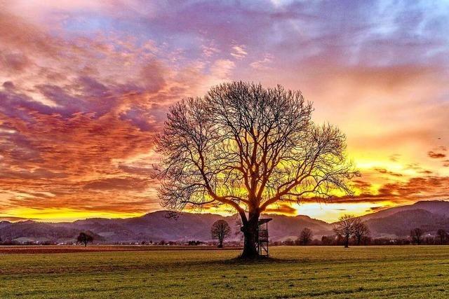 Sonnenaufgang im Dreisamtal zwischen Stegen und Ebnet