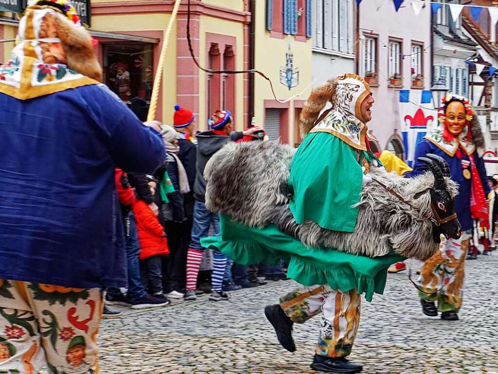 Einzug der Znfte am Samstagnachmittag in die Stadt: Der Brunlinger Stadtbock mit Treiber