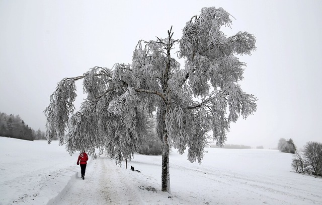   | Foto: Ute Maier