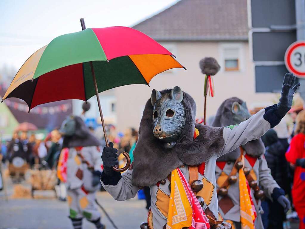 66 Narrenznfte und zahlreiche Besucherinnen und Besucher haben das 66-jhrige Bestehen der Kappeler Rhinschnooge gefeiert.