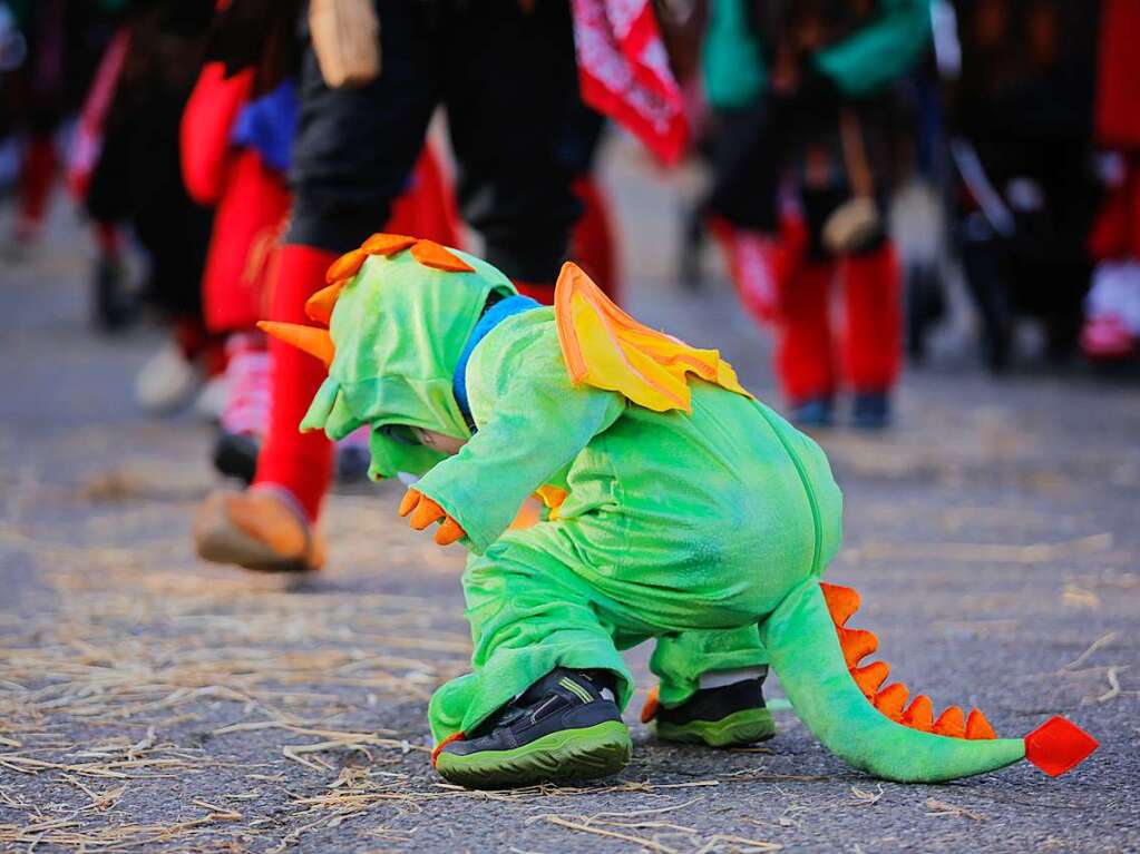 66 Narrenznfte und zahlreiche Besucherinnen und Besucher haben das 66-jhrige Bestehen der Kappeler Rhinschnooge gefeiert.