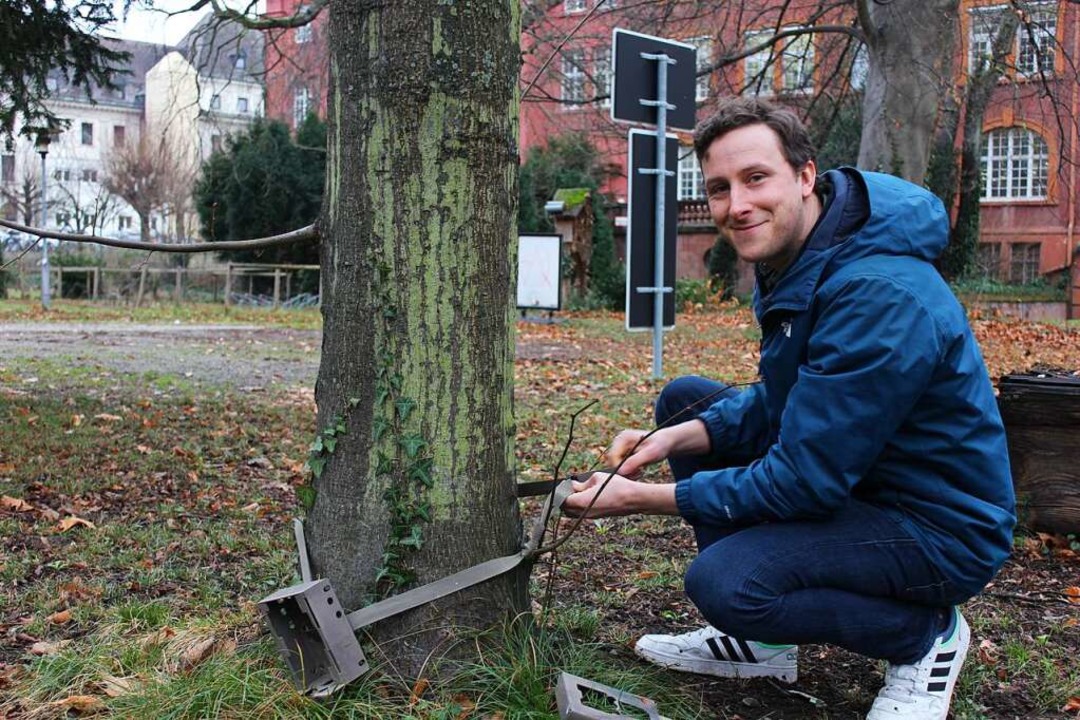 Simon Mösch bringt eine Wildtierkamera an einem Baum an.  | Foto: Carolin Johannsen
