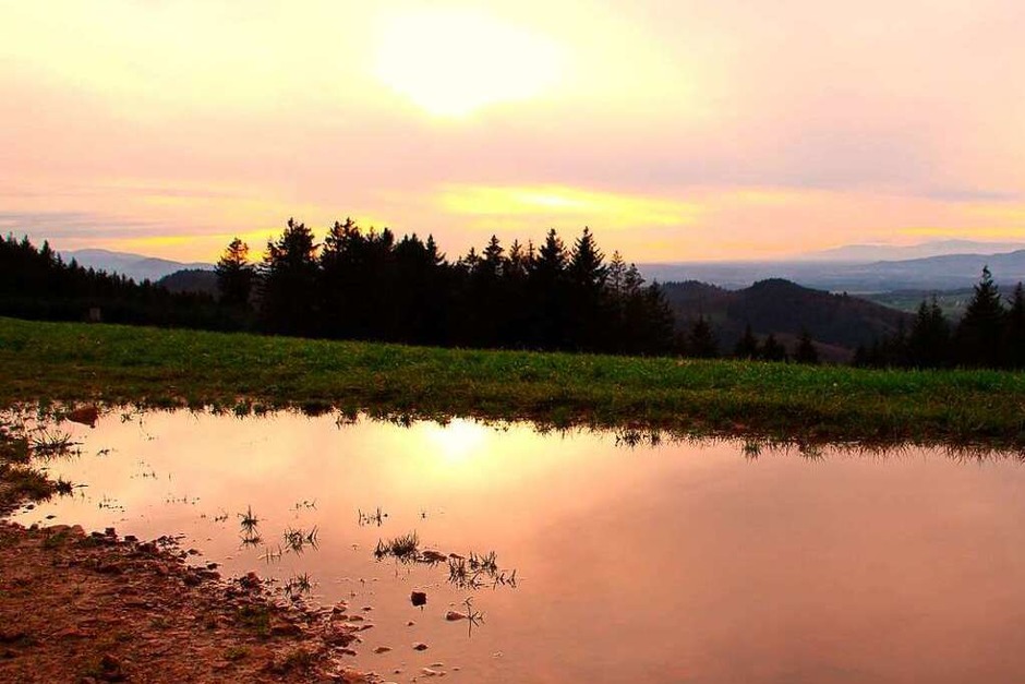 Man kann in jeder Pfütze die Sonne sehen, schreibt Frank Schauer über sein Foto, das bei einer Wanderung in Freiamt entstanden ist. (Foto: Frank Schauer) Man kann in jeder Pfütze die Sonne sehen, schreibt Frank Schauer über sein Foto, das bei einer Wanderung in Freiamt entstanden ist. (Foto: Frank Schauer)