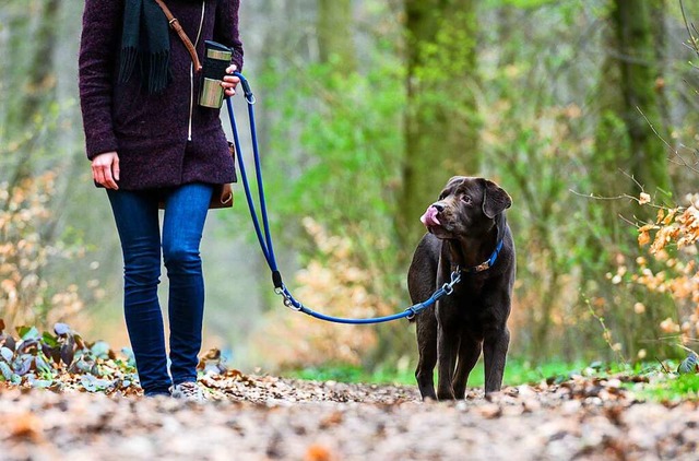 An die Leine nehmen mssen Hundehalter...oss- und Landschaftspark (Symbolbild).  | Foto: Christophe Gateau (dpa)