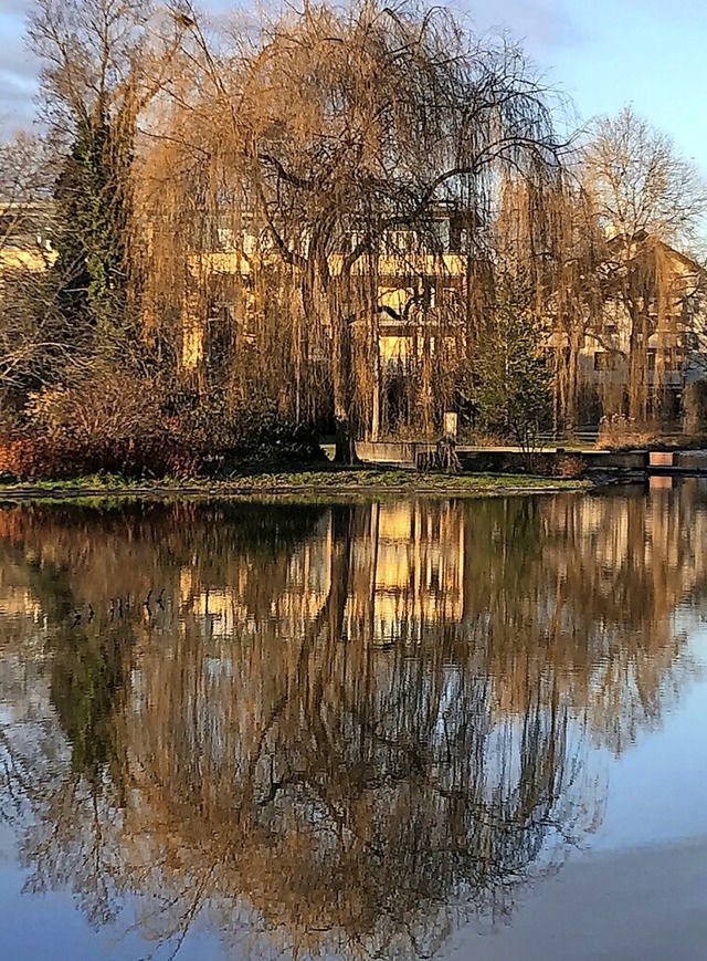 Die Sanierung des Kurparkweihers wird mit 630.000 Euro bezuschusst.  | Foto: Jutta Schtz