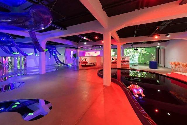 Das Haus der elektronischen Künste in Basel rehabilitiert den Borkenkäfer