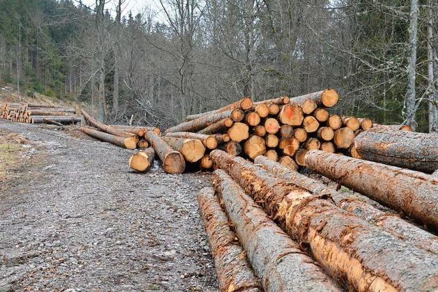 Alle Gemeinderte enthalten sich bei einer Abstimmung in Steinen