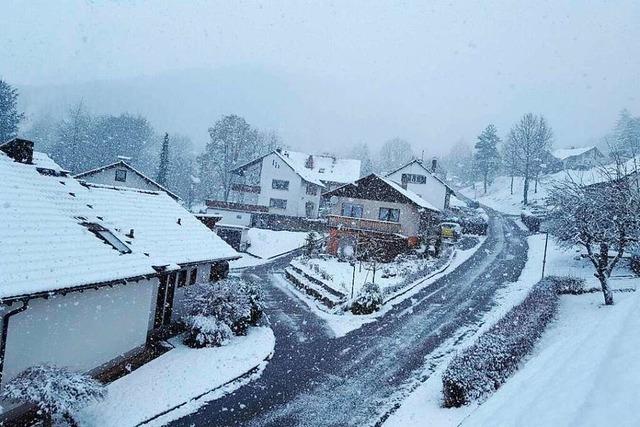 Der Januar war trb und sehr mild an der Wetterstation in Ettenheimmnster