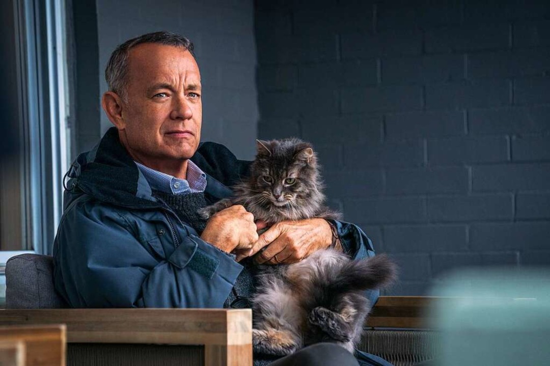 Kann dieser Mann (mit dieser Katze!) Menschenhasser spielen? Tom Hanks als Otto  | Foto: Niko Tavernise (dpa)