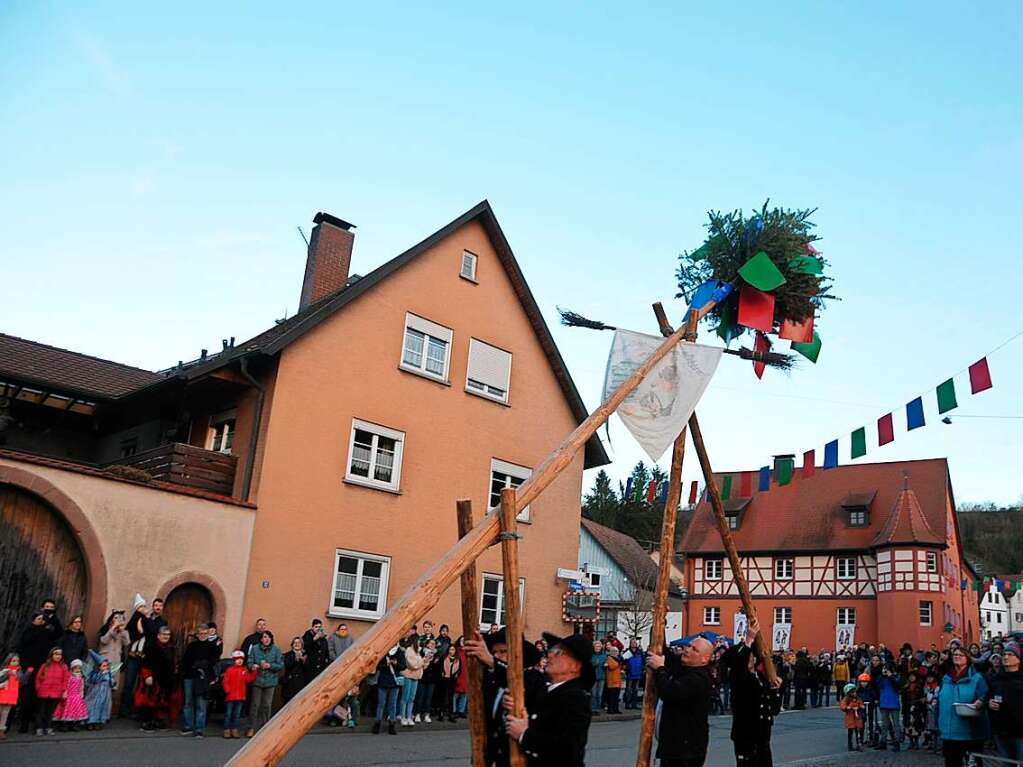 Mit Muskelkraft, Schwung und viel Elan der Zimmerleute wurde mit einem fastnchtlichen Spektakel der Narrenbaum gestellt. Dabei erklang auch der Zwulchheimer Narrenmarsch der talentierten Fasnet-Combo.