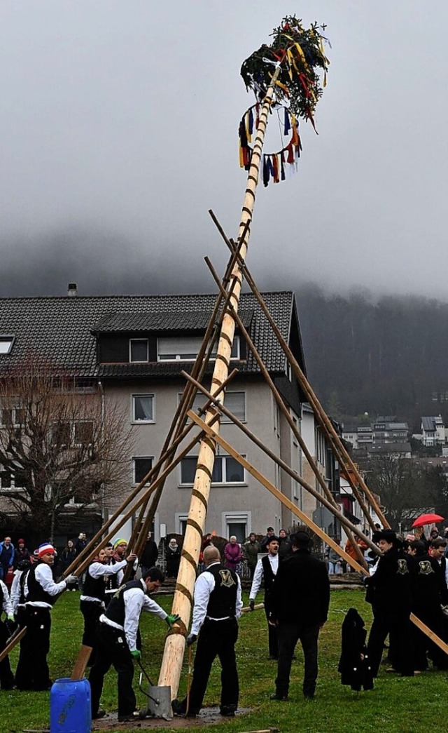 Der Narrenbaum steht auf dem  Zielmattenareal.   | Foto: Heinz und Monika Vollmar