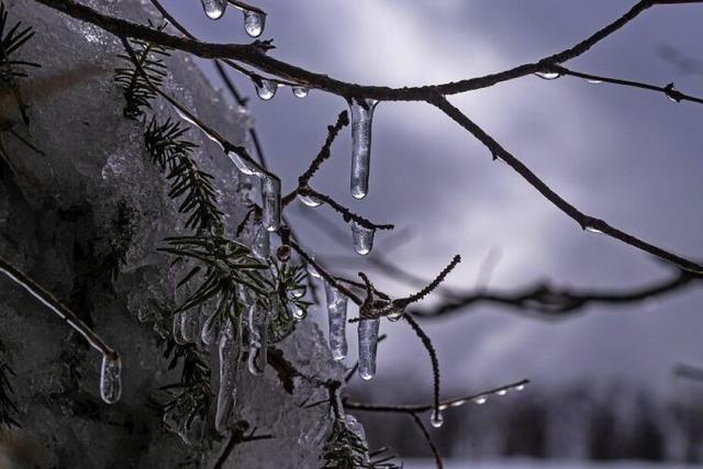 Foto des Tages