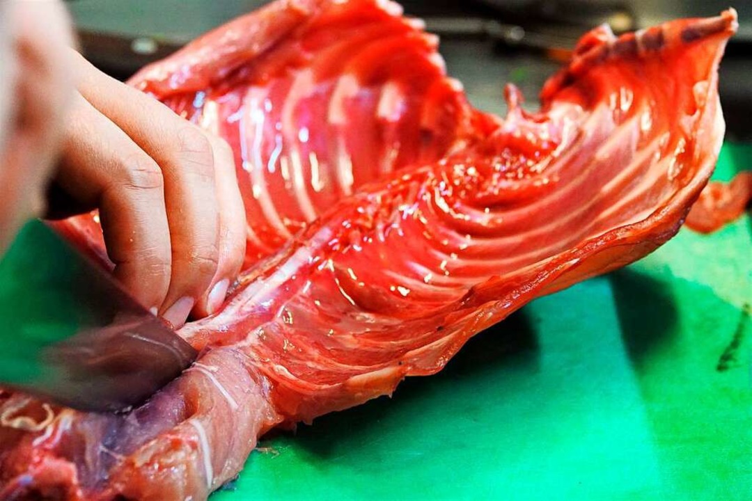 Ein Kochkursteilnehmer schneidet Fleisch von der Karkasse eines Nutria.  | Foto: Ann-Marie Utz (dpa)