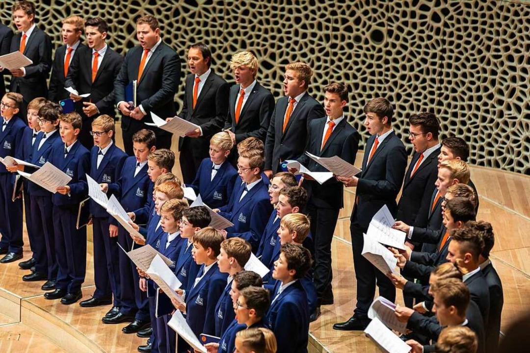Start der &#8222;Tage Alter Musik 2023&quot; in Regensburg  | Foto: Domspatzen/Michael Vogl