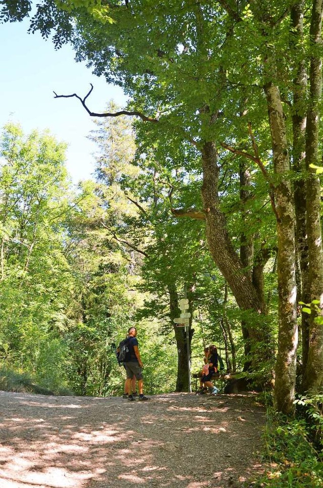 Die Wutachschlucht bleibt fr die Tour...dass das Wandern immer beliebter wird.  | Foto: Friedbert Zapf