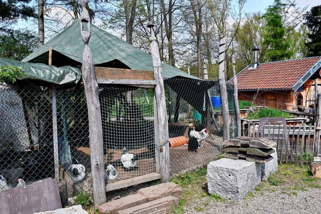 Geflgelhaltern und ihren Tieren drohe...gelgrippe Einschrnkungen. Symbolbild.  | Foto: Thomas Kunz