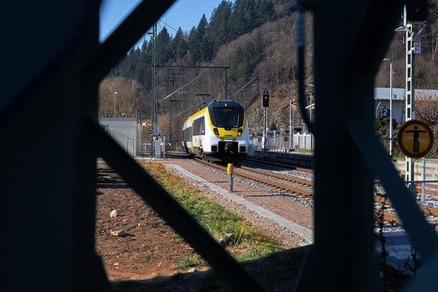 Jeder elfte Zug der Elztalbahn fuhr im Jahr 2022 nicht