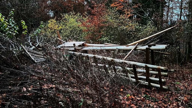 Im Ettenheimer Wald werden Jagdeinrich...en eine Belohnung fr Hinweise bereit.  | Foto: Stadt Ettenheim