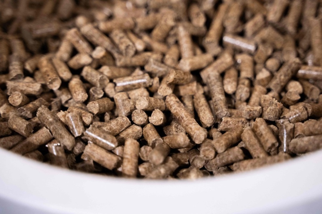 Pellets  | Foto: LOIC VENANCE (AFP)