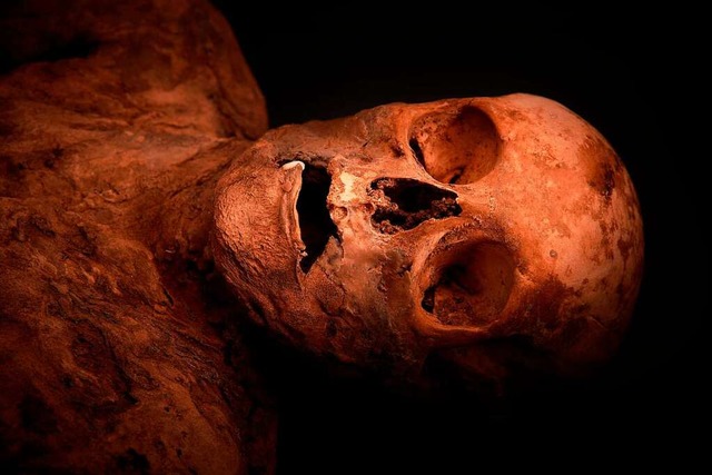 Die Mumie wurde 1975 bei Sanierungs- u...n der Basler Barfsserkirche entdeckt.  | Foto: Gregor Brndli