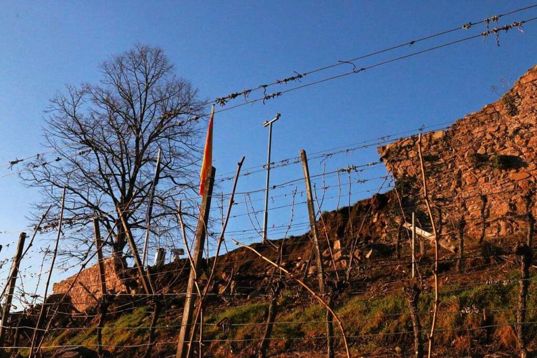 Das eingebrochene Mauerstck an der Oberkircher Schauenburg.  | Foto: Ulrich Reich/Stadt Oberkirch