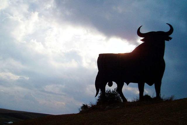 Stier verletzt Arbeiter auf Schlachthof in berlingen schwer