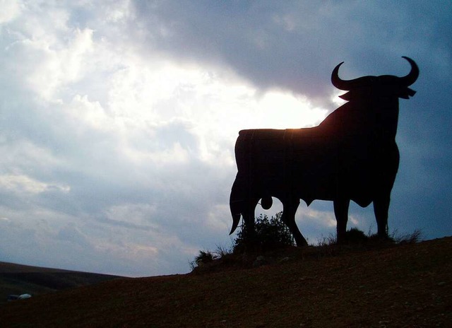 Ein Stier ging auf einen Arbeite im Schlachthof in berlingen los. (Symbolbild)  | Foto: Deutsche Presse-Agentur