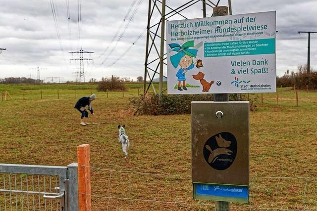 Warum in Herbolzheim etwas klappt, was in Lahr nicht mglich scheint