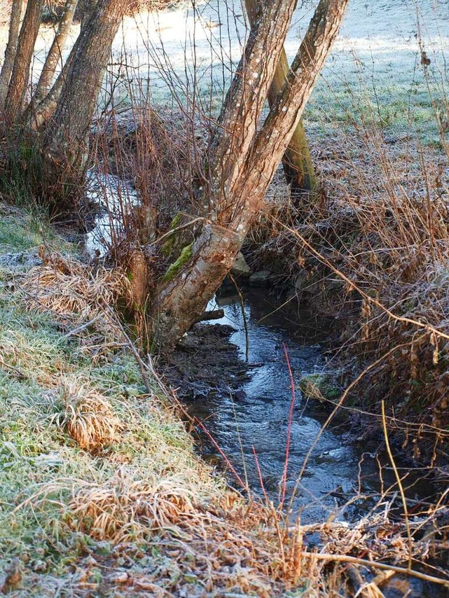 Der Tannengraben in Brombach muss  im ...als Entlastungskanal ausgebaut werden.  | Foto: Paul Schleer