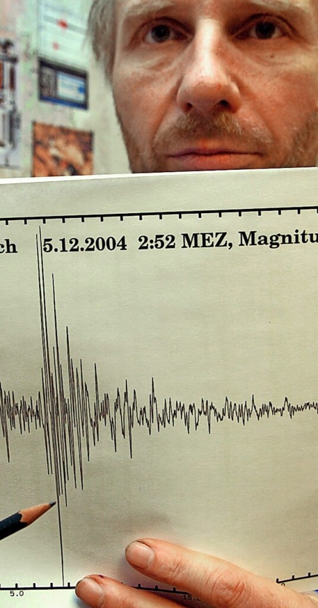 Solche Ausschlge erzeugte das Erdbeben 2004 in Waldkirch.  | Foto: Rolf Haid