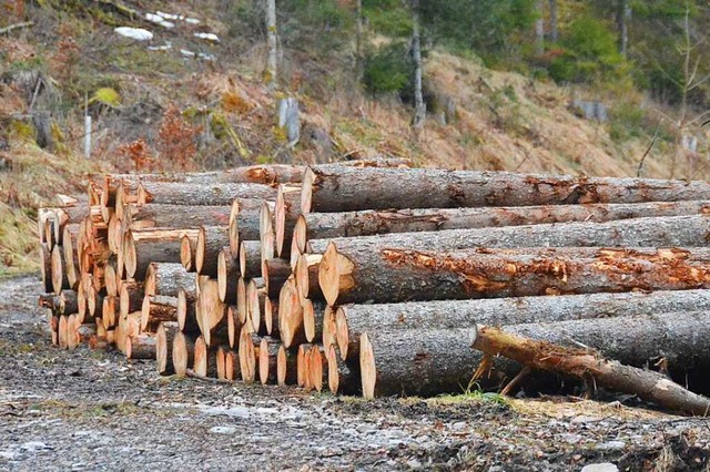 Die Einnahmen aus Holzverkauf des Fors...ewald Husern sind hher als erwartet.  | Foto: Sebastian Barthmes