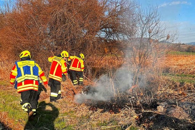 Die Feuerwehr lschte einen Vegetationsbrand in Tutschfelden.  | Foto: Feuerwehr Herbolzheim