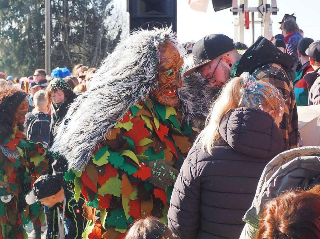 Impressionen des groen Umzugs durch Karsau zum VHN-Narrentreffen.