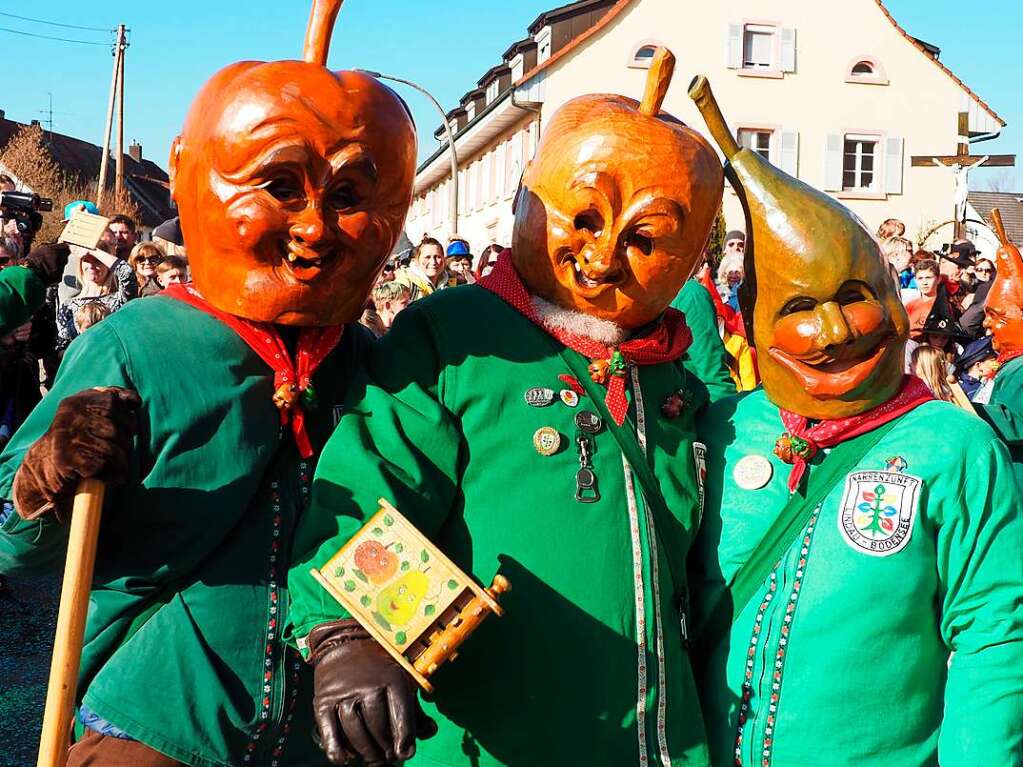 Impressionen des groen Umzugs durch Karsau zum VHN-Narrentreffen.