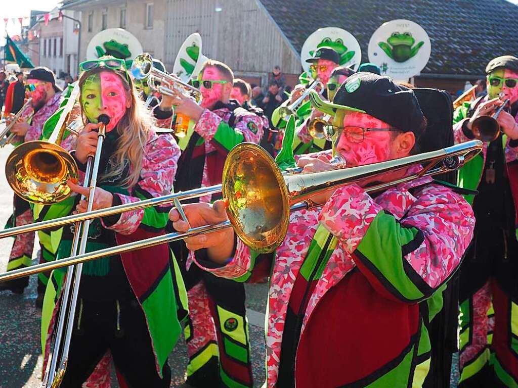 Impressionen des groen Umzugs durch Karsau zum VHN-Narrentreffen.