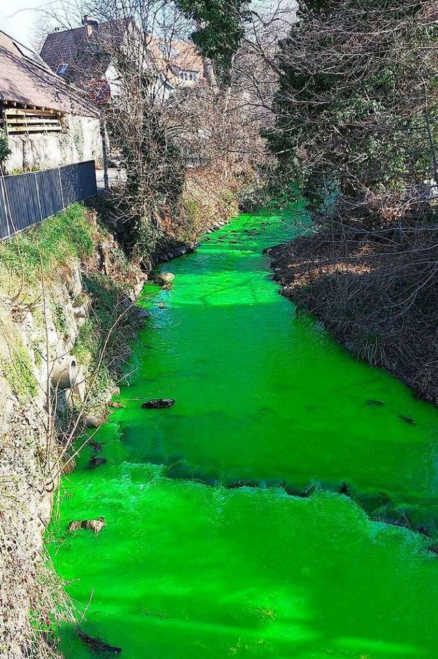 So schnell die grne Farbe gekommen war, so schnell verschwand sie auch wieder.  | Foto: Volker Mnch