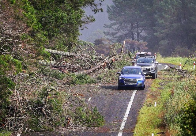 Autos weichen umgestrzten Bumen auf ...39;s Beach, stlich von Auckland, aus.  | Foto: Mike Scott (dpa)