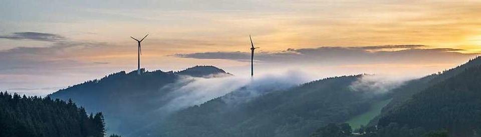 Windrder im Schwarzwald