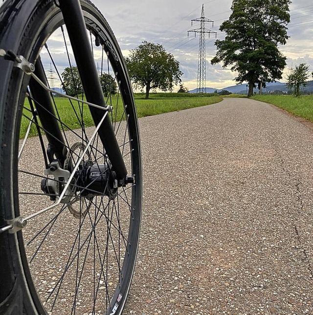 Mehr Radwege fordert die Abgeordnete Hartmann-Mller fr Rheinfelden.   | Foto: Dora Schls