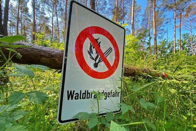 Baden-Württemberg will sich beim Kampf gegen Waldbrände besser aufstellen