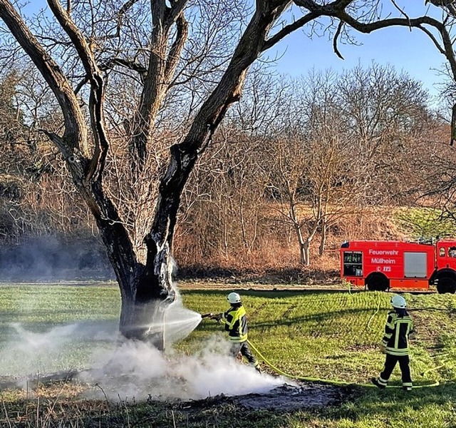 Am Donnerstagmorgen brannte ein Baum nahe des Segelflugplatzes.  | Foto: Sarah Lffler