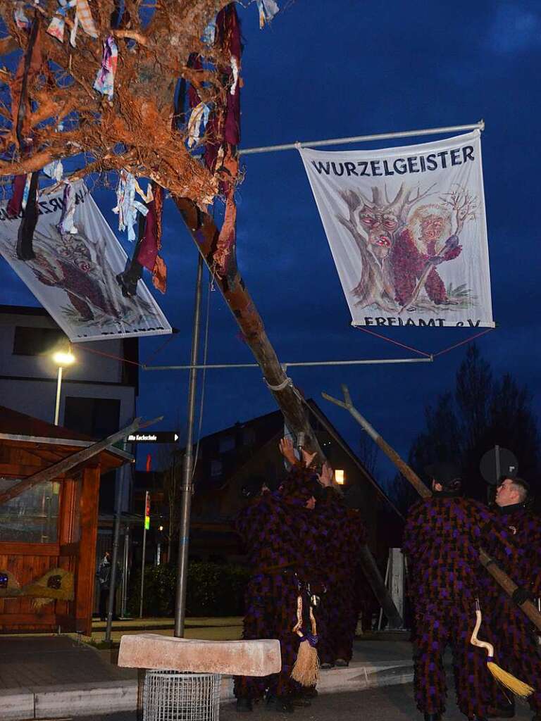 Die Freimter Wurzelgeister stellen den Narrenbaum – verkehrt herum.