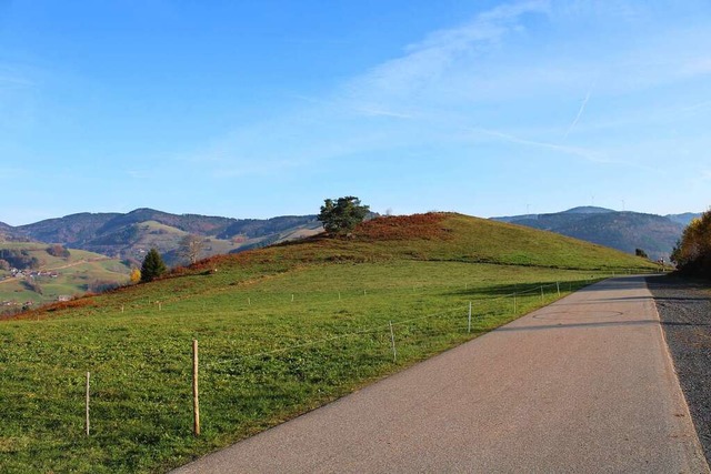 Der Friedberg soll auf &#8222;Mutiger ...olchen Ort sowie ein schnes Panorama.  | Foto: Manuel Hunn