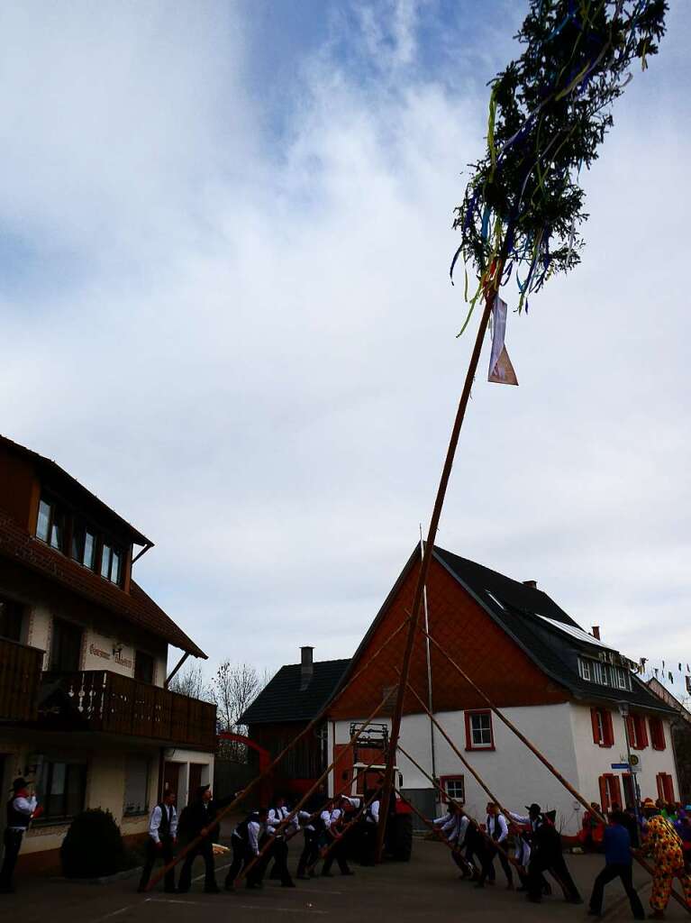 Es war was los am Schmutzige Dunschdig: Mit vereinten Krften brachten die Unadinger Zimmermnner den Narrenbaum in die Senkrechte.