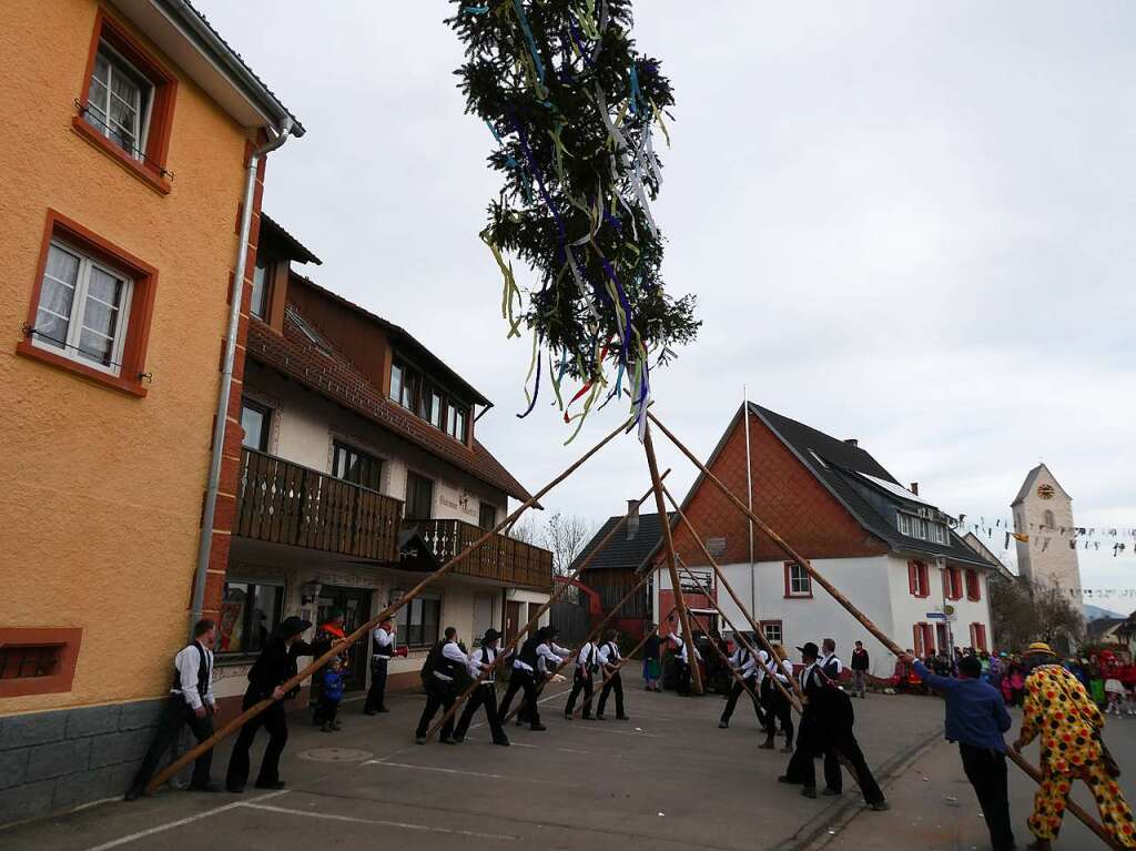 Es war was los am Schmutzige Dunschdig: Mit vereinten Krften brachten die Unadinger Zimmermnner den Narrenbaum in die Senkrechte.