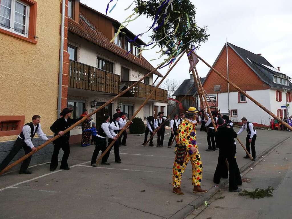 Schmutzige Dunschdig: Mit vereinten Krften brachten die Unadinger Zimmermnner den Narrenbaum in die Senkrechte.