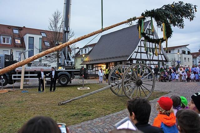 Brgermeister in Fesseln abgefhrt